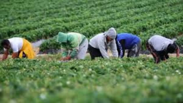 Caporalato: Donne in Campo-Cia Lomb , mai più tragedie come quella di Satnam