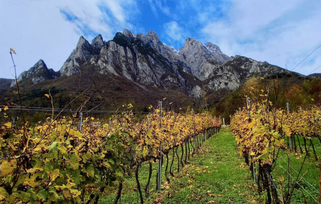 I COLORI DELLA MONTAGNA NEGLI SCATTI DI CARLO CAPURSO: RETROSPETTIVA 