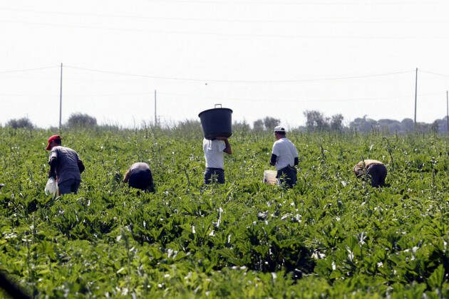 (CR) Pianeta Migranti. Lombardia stentata nella lotta al caporalato