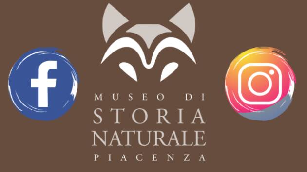 Anziani (PC) Terza età, giovedì 25 luglio visita guidata al Museo di Storia Naturale