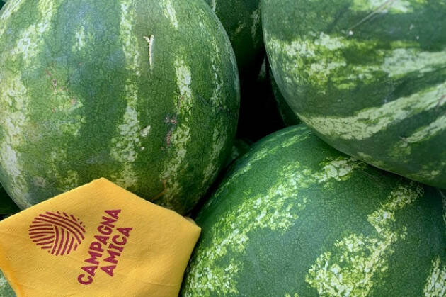 Coldiretti L’anguriata domani al mercato di Campagna Amica a Crema
