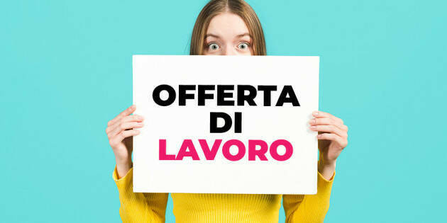 Attive 256 offerte lavoro CPI 30/07/2024 Cremona,Crema,Soresina e Casal.ggiore 