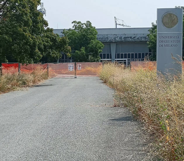 Crema  Approvato il progetto esecutivo dell'ex Olivetti.