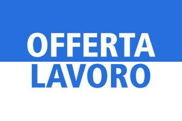 Attive 211 offerte lavoro CPI 13/08/2024 Cremona,Crema,Soresina e Casal.ggiore 
