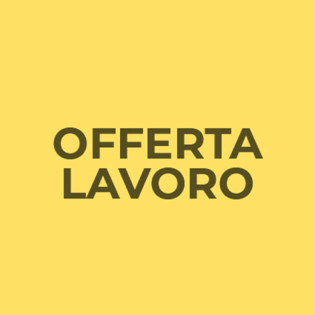 Attive 234 offerte lavoro CPI 20/08/2024 Cremona,Crema,Soresina e Casal.ggiore 