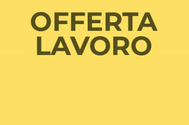 Attive 253 offerte lavoro CPI 27/08/2024 Cremona,Crema,Soresina e Casal.ggiore 