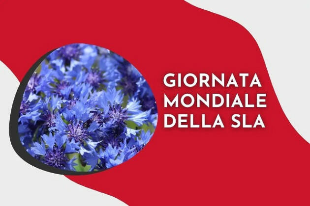 (CR) Giornata Nazionale SLA, il 14 settembre Palazzo Comunale di illumina di verde