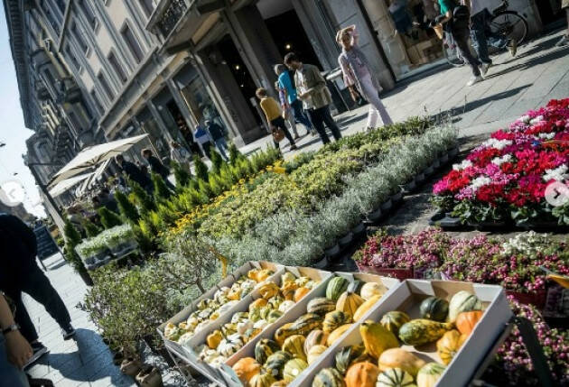 SICUREZZA. PORTESANI :IL COMUNE VERIFICHI ATTI VANDALICI DURANTE INVISIONI BOTANICHE