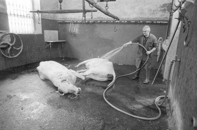 (PC) Anziani Terza età, visita guidata alla mostra 'La città che cambia'