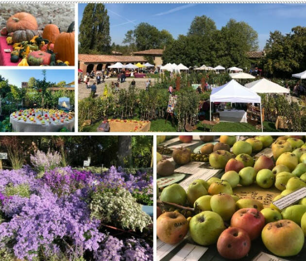 Pontenure (PC) Biodiversità e natura: le mille sfumature dell’autunno 