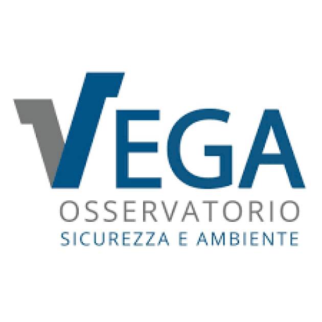 Vega :MORTI SUL LAVORO IN ITALIA. IN OTTO MESI UNA STRAGE.