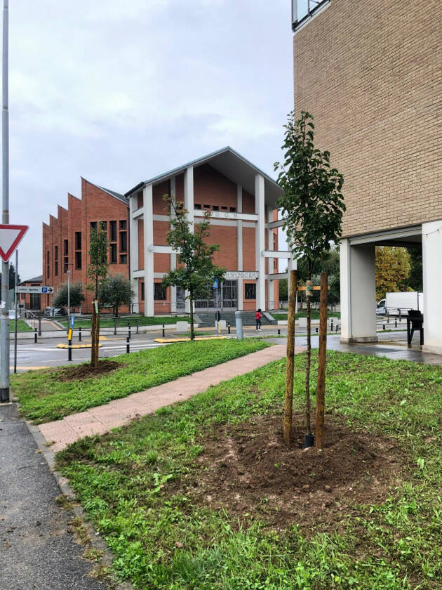 (BG) Al via la messa a dimora di nuovi alberi e arbusti al Villaggio degli Sposi