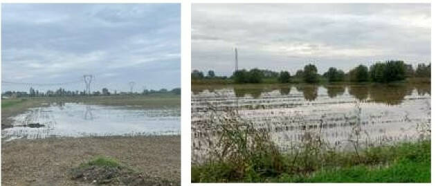 Coldiretti Maltempo, Lombardia: agricoltura paralizzata, semine d'autunno bloccate