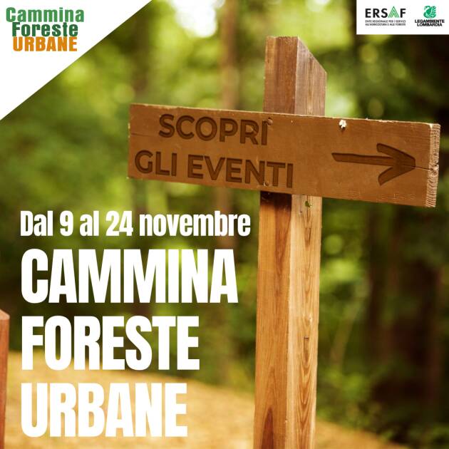 Dal 9 al 24 novembre torna Cammina Foreste Urbane di ERSAF e Legambiente Lombardia