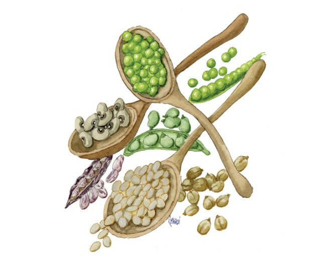 (CR) Cam Com 'I legumi nella cucina cremonese, ieri e oggi'