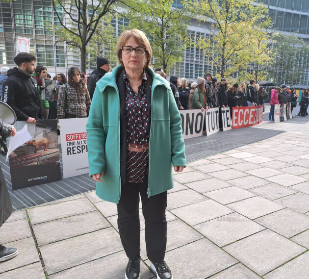 Presidio Animal Equality, Pollini (M5s):Basta maltrattamenti