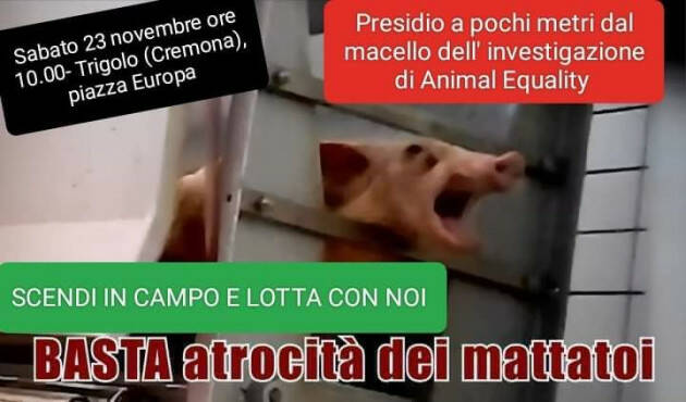 Trigolo Il presidio davanti al macello Belli è riuscito