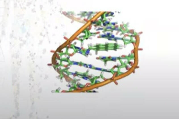 ASST CR TUMORI: OGNI ANNO 430MILA NUOVI CASI DI NEOPLASIE SOLIDE ED EMATOLOGICHE