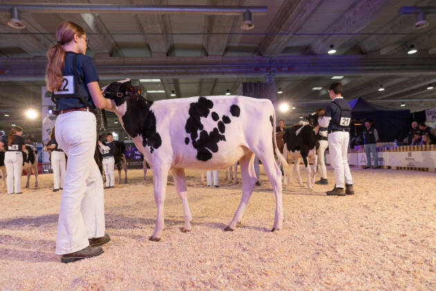 Cremona Fiere  INNOVAZIONE E NEXT GENERATION: I FOCUS DELLA 79ESIMA EDIZIONE 