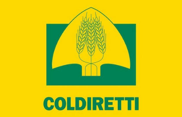 Coldiretti Giovani Impresa Cremona, grande partecipazione alle assemblee
