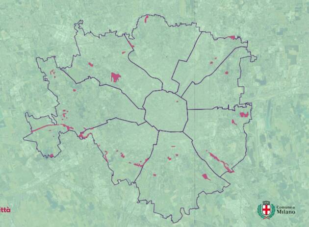 Milano VERDE. NELLE AREE A SFALCIO RIDOTTO LA BIODIVERSITÀ AUMENTA FINO AL 60%