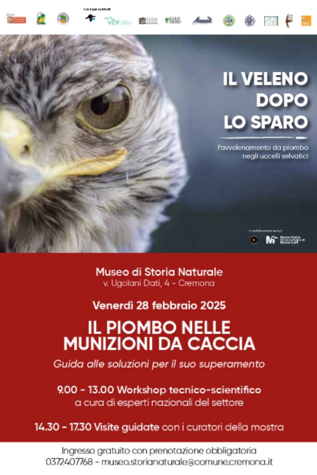 (CR) Il piombo nelle munizioni da caccia: guida alle soluzioni per il suo superamento