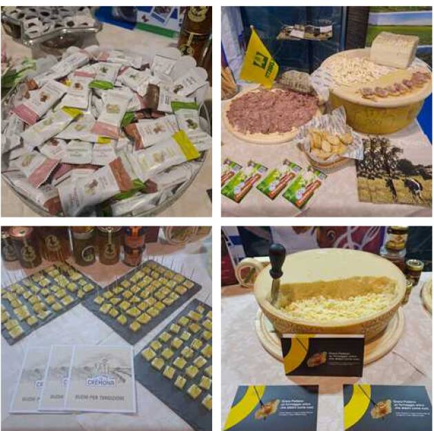**Strada Del Gusto Cremonese Brilla al Bontà 2025: Un Viaggio tra Sapori e Cultura**