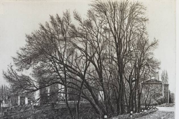 (CR) L’ARTE DELL’INCISIONE E DEL FUMETTO