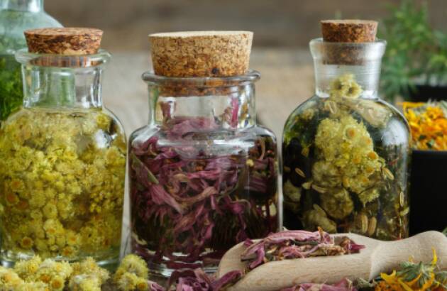 Anziani CNA Anche le piante possono fare la loro parte nella terza età.