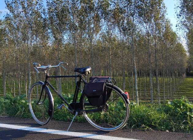 Un flaneur in bicicletta di Massimo Negri (Casalmaggiore)