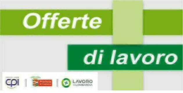 Attive  211 offerte lavoro CPI 18/03/2025 Cremona,Crema,Soresina e Casal.ggiore