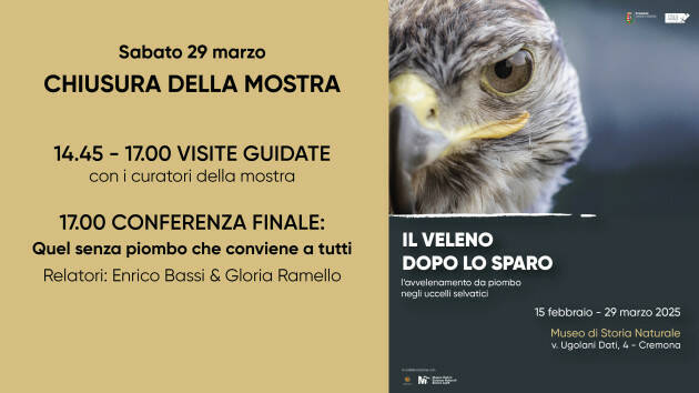Due appuntamenti per la chiusura della mostra Il veleno dopo lo sparo