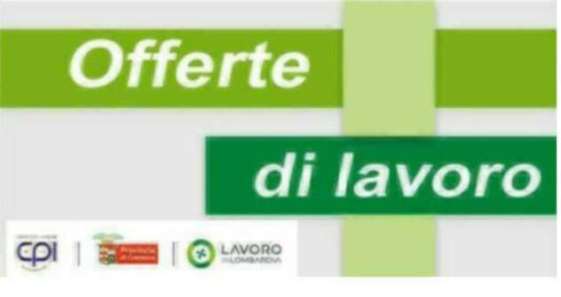 Attive  223 offerte lavoro CPI  25/03/2025 Cremona,Crema,Soresina e Casal.ggiore