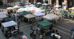 CSV Lombardia CR-LO-PV-MN Newsletter n. 12 marzo 2025