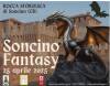 Soncino Fantasy 2025 apre ai giochi: di legno, di ruolo e dal vivo