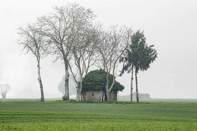 (CR) Inaugura il 9 aprile la mostra 'Alberi – Fra terra e cielo, fra scienza e poesia'