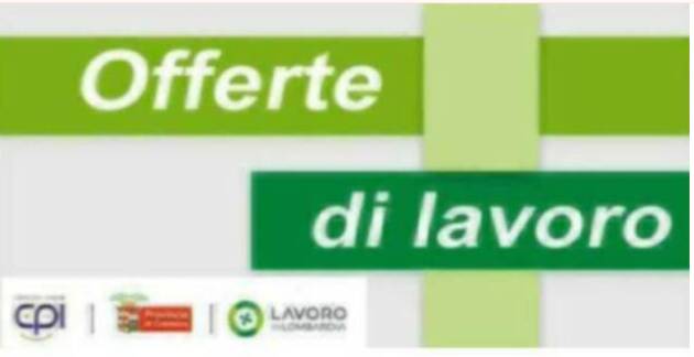 Attive  244 offerte lavoro CPI  08/04/2025 Cremona,Crema,Soresina e Casal.ggiore