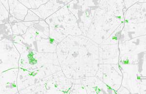 (MI) VERDE. RADDOPPIANO LE AREE A SFALCIO RIDOTTO E I PRATI FIORITI IN CITTÀ