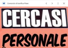 Comune di Cremona Ricerca di personale