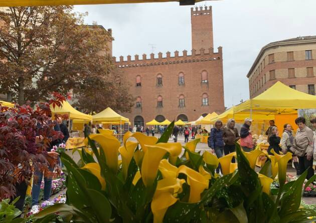  Coldiretti Campagna Amica domenica in piazza Stradivari a Cremona