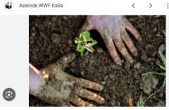 RIPIANTUMAZIONE, PILONI (PD):LA DESTRA BOCCIA L’OBBLIGO, ERRORE GRAVE