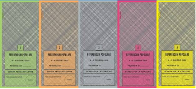 Referendum - Pizzighini (M5S): Andiamo tutti a votare