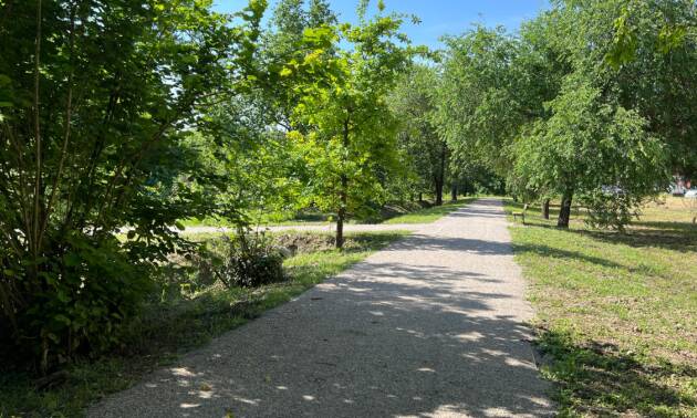 (Crema) Via Viviani: inaugurato il nuovo percorso ciclo-pedonale accessibile. 