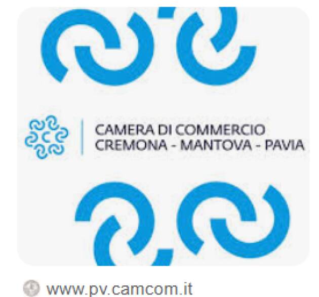 Cam.Com. CR-MN-PV  LA CONGIUNTURA MANIFATTURIERA E ARTIGIANA 