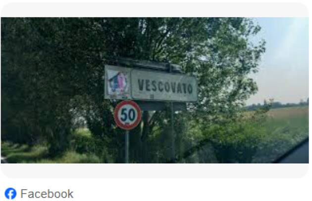 ABBATTIMENTO DI ALBERI SECOLARI A VESCOVATO (CR)