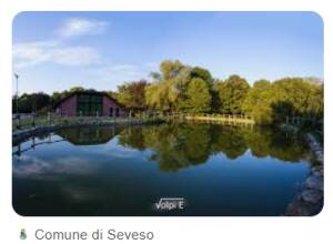 Istituzione del parco fluviale regionale del Seveso - Pizzighini (M5S)
