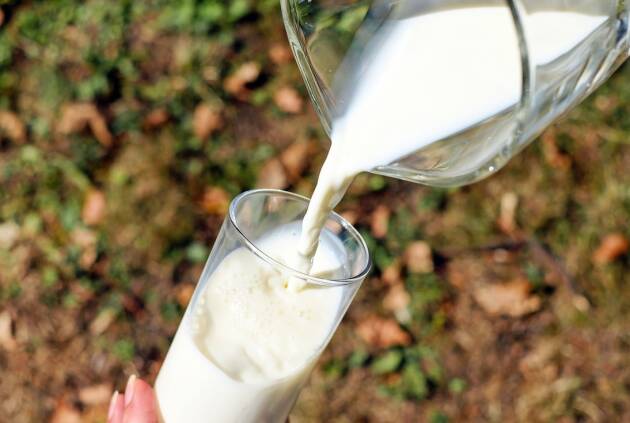 GIORNATA MONDIALE DEL LATTE: LA LOMBARDIA PRODUCE IL 46% DEL LATTE NAZIONALE