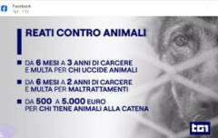  ANMVI APPROVAZIONE DDL REATI CONTRO GLI ANIMALI