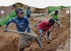 Quasi 138 milioni di bambini e adolescenti nel mondo sono coinvolti nel lavoro minorile