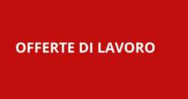 Attive  197 offerte lavoro CPI  17/06/2025 Cremona,Crema,Soresina e Casal.ggiore